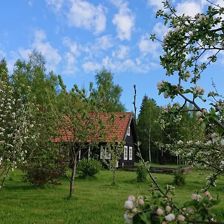 Brīvdienu mājas A Cozy Where You Can Enjoy The Peace Of The Countryside *